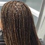 Senegalese Twist