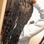 Individual Braids (Butt Length Butterfly Locs