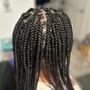 Box Braids Takedown