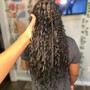 Knotless Box Braids (Medium, Bra Length, 42")