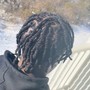 Starter Locs