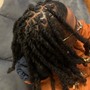 Starter Locs