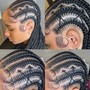 Stitch/ Feeding Braids