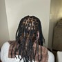 Starter Dreadlocks