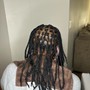 Starter Dreadlocks