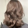 Root Touch Up with complimentary blow dry