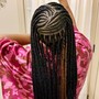 Various French Braid Styles & Feed In Braids