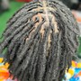 Two Strand Twist