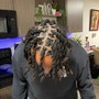 Starter Locs