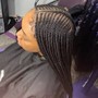 Pixie braids /bob braids