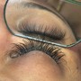 Volume lashes