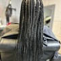 Root Touch Up