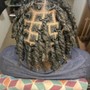 Starter Locs