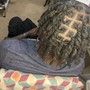 Starter Locs