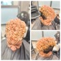 Shampoo/Root Touch Up(perm color)