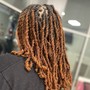 Starter Locs (read description)