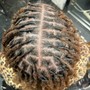 Comb Twist/ Starter Locs