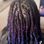 Starter Locs