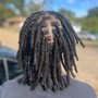 Starter locs