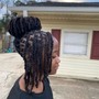 Starter Locs