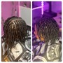 Starter Locs