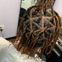 Starter Locs