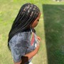 Small Box Braids