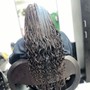 Root Touch Up