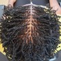 Micro braids (natural hair)