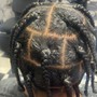 Comb coils starter locs