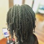 Twists/Braids/Comb Coils**