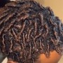 Twists/Braids/Comb Coils**