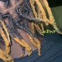 Kinky Twist