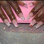 Acrylic Nails