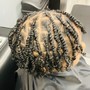 Loc Coils