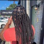 Poetic Justice Braids