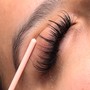 Volume Lash Set - 2 Week Fill