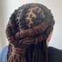 Starter Locs