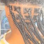 Small Box Braids