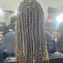 Box Braids