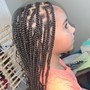 Kids Braided Ponytail