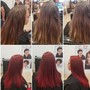 Color Root Touch Up