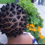 Bantu Knots