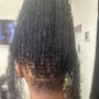 Micro Locs(w/o extensions)