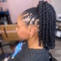 Locs Two strand twist package