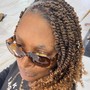 Senegalese /Marley Twist