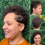 Transitioning Cut