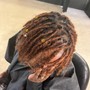 root touch  up