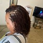 Micro/mini locs (twist )