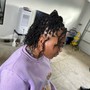 Micro/mini locs (twist )